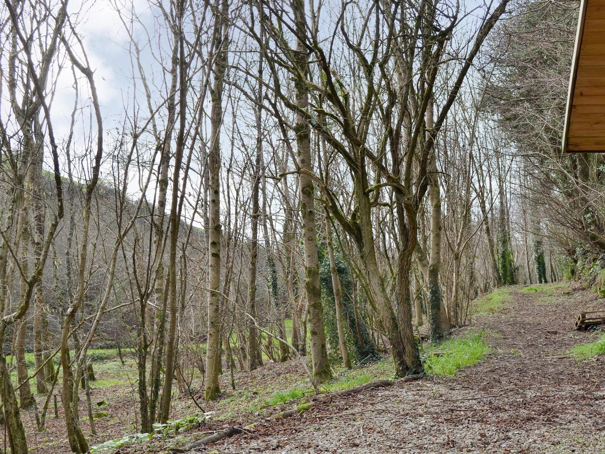 Willow Barn Saint Ewe Εξωτερικό φωτογραφία